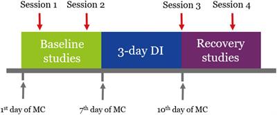 NAIAD-2020: Characteristics of Motor Evoked Potentials After 3-Day Exposure to Dry Immersion in Women